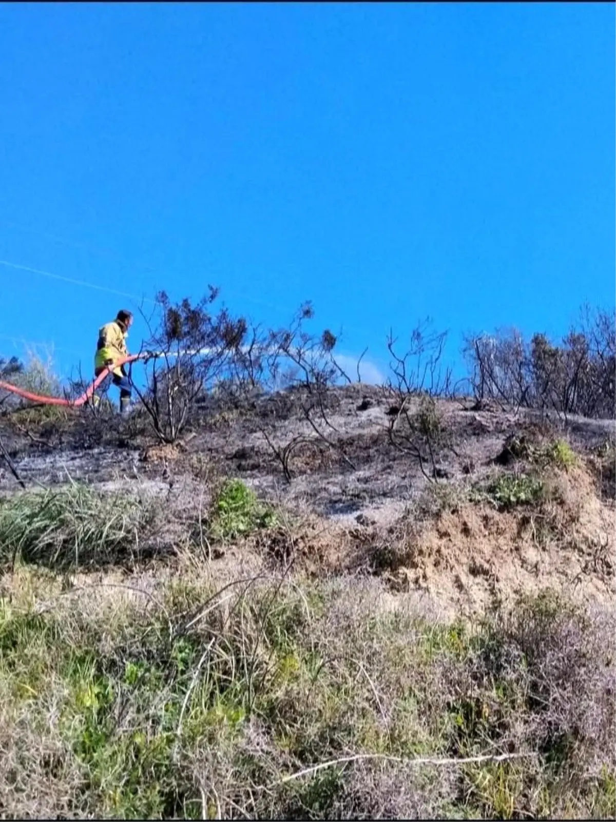 Defne'de çıkan bahçe yangınından alevler yükseldi