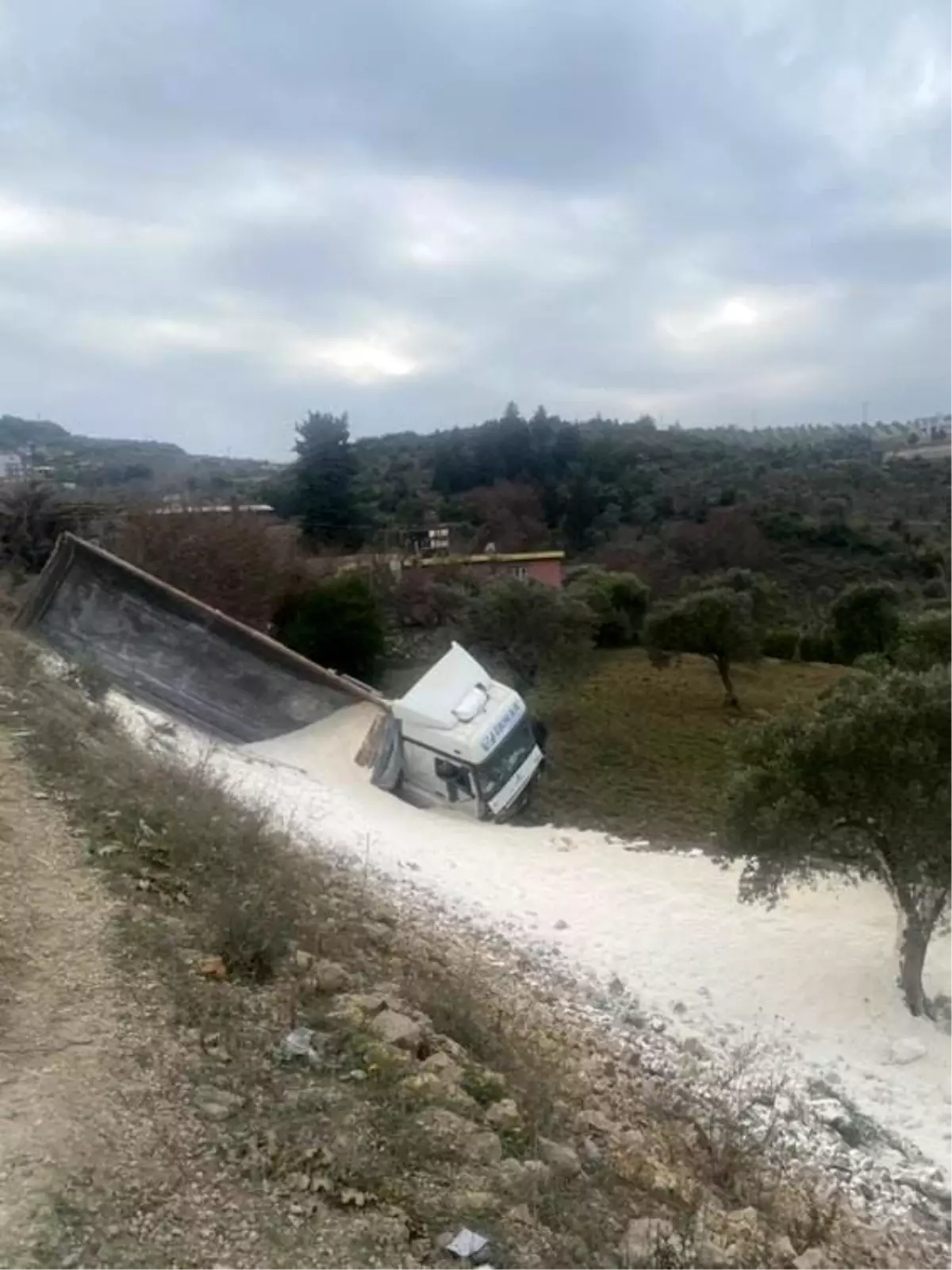 Hafriyat Kamyonu Zeytin Bahçesine Uçtu